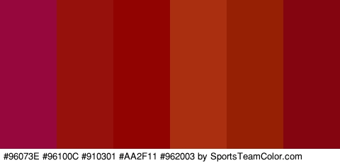 #96073E #96100C #910301 #AA2F11 #962003 #84050F Colors