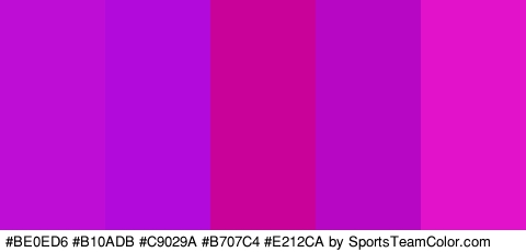 #BE0ED6 #B10ADB #C9029A #B707C4 #E212CA Colors