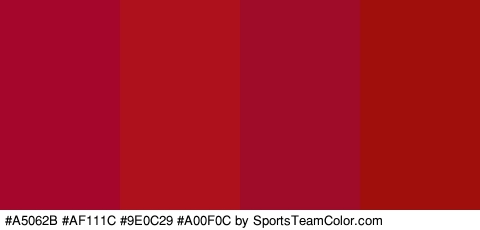 #A5062B #AF111C #9E0C29 #A00F0C Colors