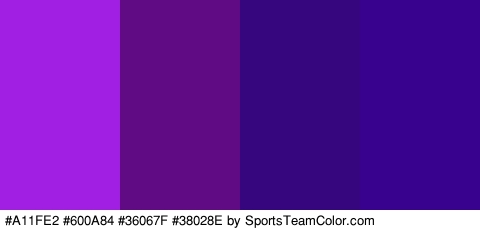 #A11FE2 #600A84 #36067F #38028E Colors