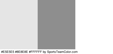 #E5E5E5 #8E8E8E #FFFFFF Colors