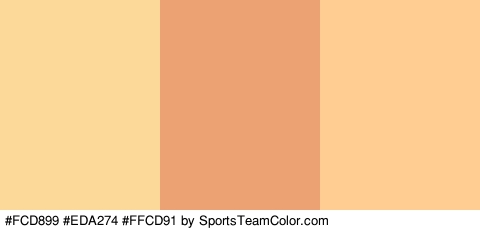 #FCD899 #EDA274 #FFCD91 Colors