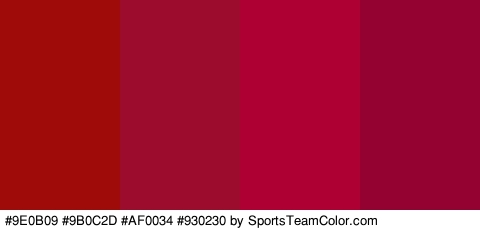 #9E0B09 #9B0C2D #AF0034 #930230 Colors