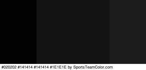 #020202 #141414 #141414 #1E1E1E Colors