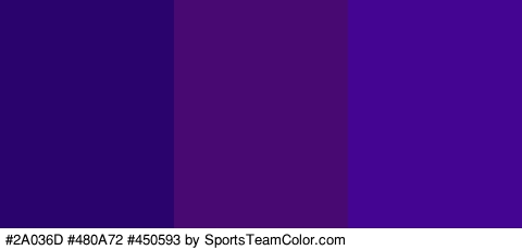 #2A036D #480A72 #450593 Colors