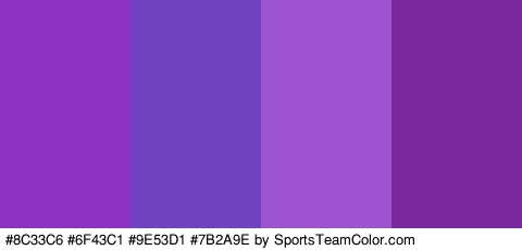 #8C33C6 #6F43C1 #9E53D1 #7B2A9E Colors