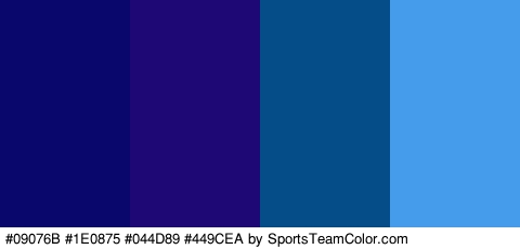 #09076B #1E0875 #044D89 #449CEA Colors