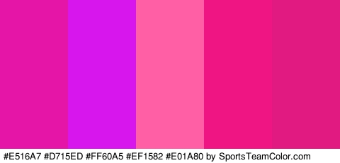 #E516A7 #D715ED #FF60A5 #EF1582 #E01A80 Colors