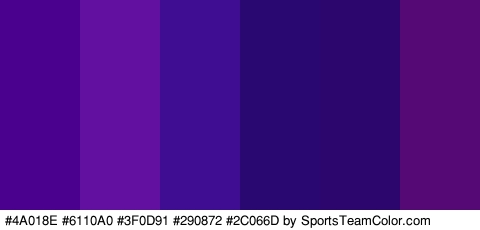 #4A018E #6110A0 #3F0D91 #290872 #2C066D #540975 Colors