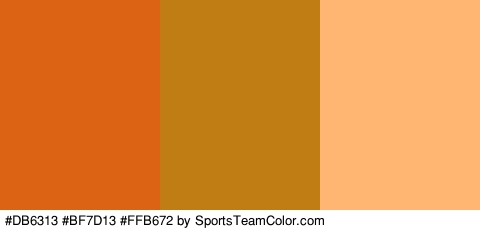 #DB6313 #BF7D13 #FFB672 Colors