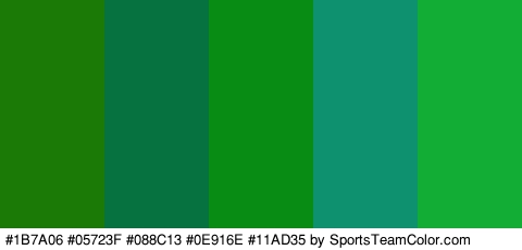 #1B7A06 #05723F #088C13 #0E916E #11AD35 Colors