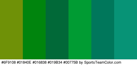 #6F9108 #01840E #016838 #019B34 #00775B #079375 Colors