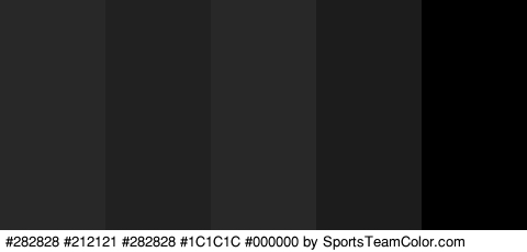 #282828 #212121 #282828 #1C1C1C #000000 Colors