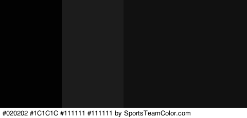 #020202 #1C1C1C #111111 #111111 Colors