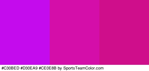 #C30BED #D30EA9 #CE0E8B Colors