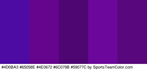 #4D0BA3 #65058E #4E0672 #6C079B #59077C Colors