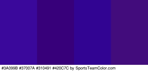 #3A099B #37007A #310491 #420C7C Colors