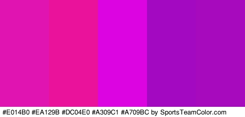 #E014B0 #EA129B #DC04E0 #A309C1 #A709BC Colors