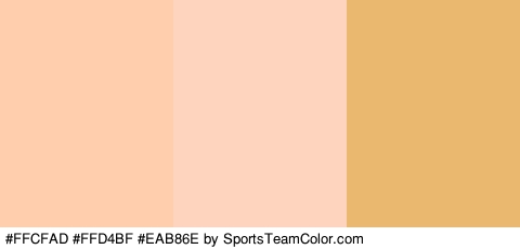 #FFCFAD #FFD4BF #EAB86E Colors