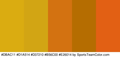 #DBAC11 #D1A514 #D37210 #B56C00 #E26014 Colors