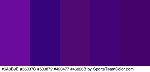 #6A0B9E #36037C #500872 #420477 #46026B Colors