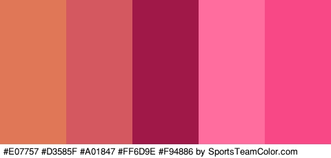 #E07757 #D3585F #A01847 #FF6D9E #F94886 Colors