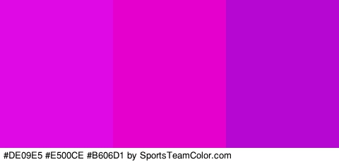 #DE09E5 #E500CE #B606D1 Colors