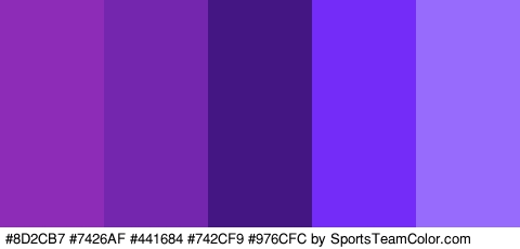 #8D2CB7 #7426AF #441684 #742CF9 #976CFC Colors