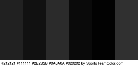 #212121 #111111 #2B2B2B #0A0A0A #020202 #303030 Colors