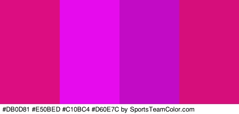 #DB0D81 #E50BED #C10BC4 #D60E7C Colors