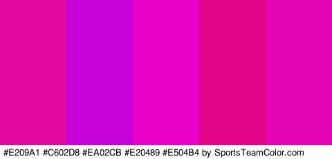 #E209A1 #C602D8 #EA02CB #E20489 #E504B4 Colors