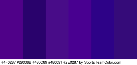 #4F0287 #29036B #480C89 #480091 #2E0287 #350B7A Colors