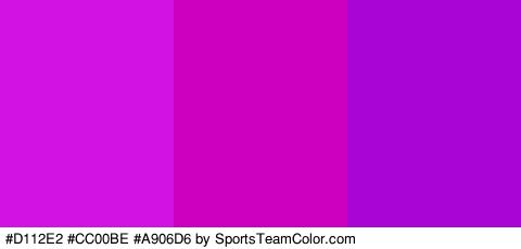 #D112E2 #CC00BE #A906D6 Colors