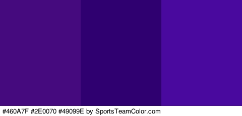 #460A7F #2E0070 #49099E Colors