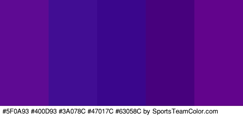 #5F0A93 #400D93 #3A078C #47017C #63058C Colors