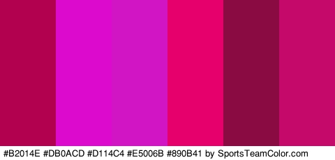 #B2014E #DB0ACD #D114C4 #E5006B #890B41 #C4096A Colors