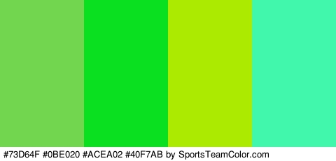 #73D64F #0BE020 #ACEA02 #40F7AB Colors