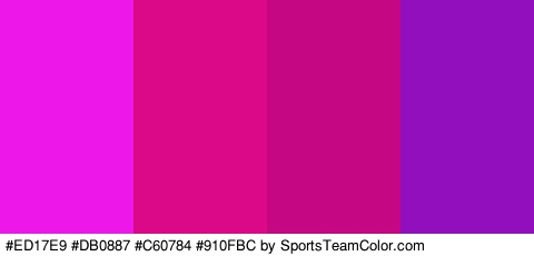 #ED17E9 #DB0887 #C60784 #910FBC Colors