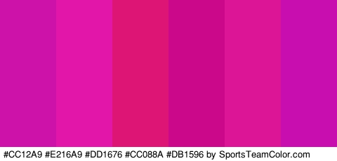 #CC12A9 #E216A9 #DD1676 #CC088A #DB1596 #C90EB0 Colors