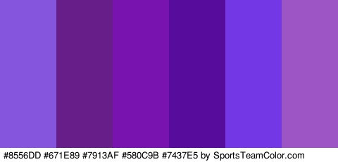 #8556DD #671E89 #7913AF #580C9B #7437E5 #9D55C6 Colors