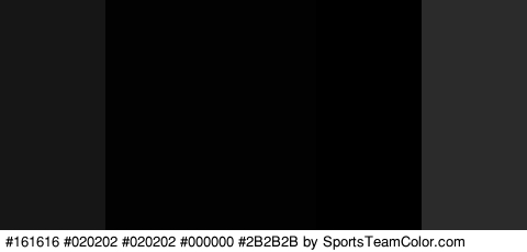 #161616 #020202 #020202 #000000 #2B2B2B Colors