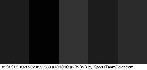 #1C1C1C #020202 #333333 #1C1C1C #2B2B2B Colors