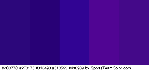 #2C077C #270175 #310493 #510593 #430989 Colors