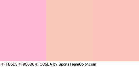 #FFB5D3 #F9C8B6 #FCC5BA Colors