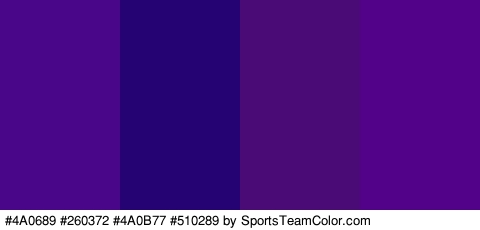 #4A0689 #260372 #4A0B77 #510289 Colors