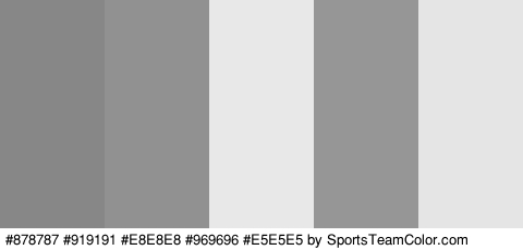 #878787 #919191 #E8E8E8 #969696 #E5E5E5 Colors