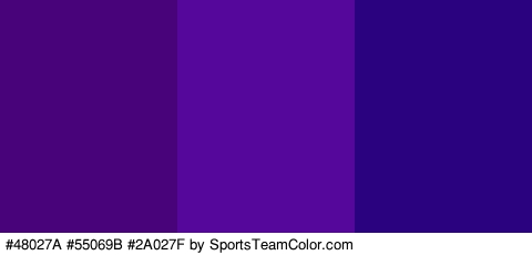 #48027A #55069B #2A027F Colors