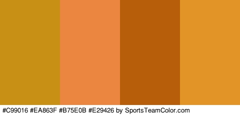 #C99016 #EA863F #B75E0B #E29426 Colors