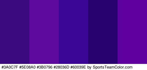 #3A0C7F #5E08A0 #3B0796 #28036D #60039E Colors