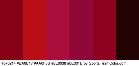 #870214 #BA0E17 #AA0F3B #8E0938 #8E001E #230302 Colors